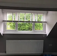 window with blinds